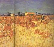 Harvest in Provence (nn04), Vincent Van Gogh